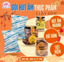 Bảo quản thực phẩm sấy và đồ ăn vặt hiệu quả với gói hút ẩm Clay Thịnh Phong