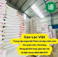 1  Chương trình khuyến mãi đặc biệt   Gạo Lạc Việt siêu ưu đãi lớn 