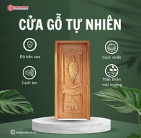 1 Cửa gỗ tự nhiên