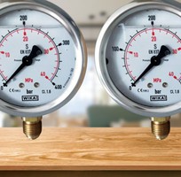 Mua Đồng Hồ Đo Áp Suất Wika 213.53 Chính Hãng Tại Dantek   Độ Bền Cao, Hoạt Động Ổn Định