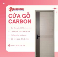 4 Cửa Gỗ Carbon Sang Trọng Vượt Trội, Bền Bỉ Vĩnh Cửu