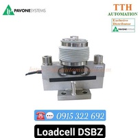 Cảm biến trọng lượng Pavone kiểu thanh DSBZ 30 tấn