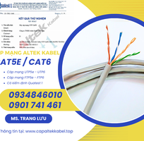 1 Cáp mạng Altek Kabel Cat5e/ Cat6 Đà Nẵng, Hà Nội, Hồ Chí Minh