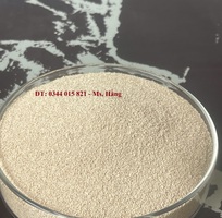 1 Nấm men Saccharomyces Boulardii, bổ sung thức ăn cho vật nuôi