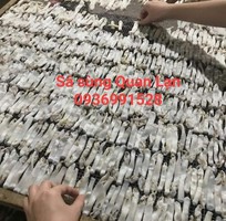 Báo giá sá sùng tươi ngon tại hà nội