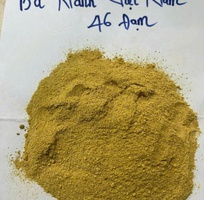  Bã Nành 46 Đạm   Thức Ăn Chăn Nuôi Sản Xuất Tại Việt Nam - Giá Tốt Nhất  