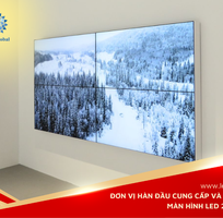 Xu Hướng Sử Dụng Màn Hình LED Cỡ Lớn Trong Sự Kiện Năm 2025