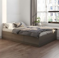 1 Giường Ngủ Gỗ Công Nghiệp Có Hộc Kéo Màu Xám Hiện Đại