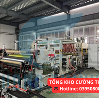 3 Màng co PVC cuộn, cắt theo yêu cầu