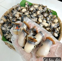 Cồi hàu điếu: đặc sản biển hiếm cho bữa ăn giàu dinh dưỡng