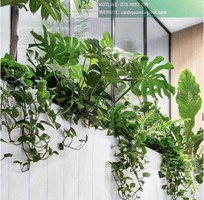 1 Chăm Sóc và Bảo Dưỡng Cây Xanh Văn Phòng Định Kỳ DPL