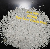 Gạo Sóc Dẻo - Gạo từ thiện - Gạo giá rẻ nhất - TTP