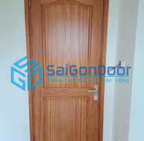 1 Cửa gỗ tự nhiên