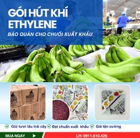 1 Bảo Quản Trái Cây Với Gói Hút Khí Ethylene Keep Fresh Secco