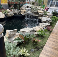 Xây dựng Thi công hồ cá Koi Nhật uy tín ở HCM, Đồng Nai