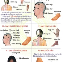 Đào Tạo Dạy Nghề Xoa Bóp Bấm Huyệt - Vật Lý Trị Liệu