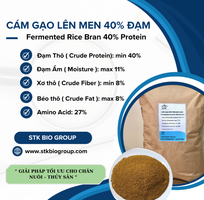 Cám Gạo Lên Men 40 Đạm Cám Gạo Lên Men 40 Đạm