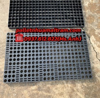  Thanh Lý Pallet Nhựa Chất Lượng Cao   Giá Siêu Hạt Dẻ Tại Tây Ninh 
