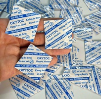 2 Chống mốc cho Hồng Treo Gió, dùng ngay gói hút oxy OXYTOC O2X Thịnh Phong