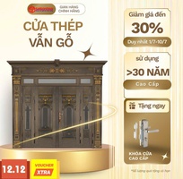 Cửa thép vân gỗ: Giải pháp bền bỉ, an toàn và sang trọng cho ngôi nhà Việt