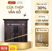 1 Cửa thép vân gỗ: Giải pháp bền bỉ, an toàn và sang trọng cho ngôi nhà Việt