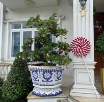 9 Chậu hoa khảm sành sứ , cẩn miểng , hàng thủ công mỹ nghệ