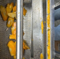 Máy chà quả tách hạt, máy chà dịch nhàu, máy chà dịch chanh dây, máy chà dịch me