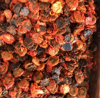 3 Máy chà quả tách hạt, máy chà dịch nhàu, máy chà dịch chanh dây, máy chà dịch me