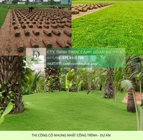 5 Thi Công Cỏ Nhung Và Cỏ Lá Gừng Cho Công Trình DPL