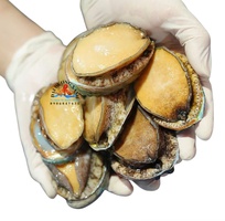 Gợi Ý Món Ngon Với Bào Ngư Cho Mâm Tiệc Sang Trọng