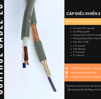 2 Cáp điều khiển RVVP/CXV 2x0.5, 2x0.75, 2x1.0, 2x1.5 Hà Nội, Đà Nẵng, HCM