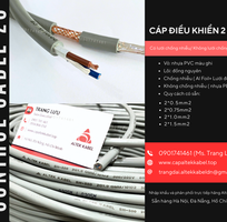 3 Cáp điều khiển RVVP/CXV 2x0.5, 2x0.75, 2x1.0, 2x1.5 Hà Nội, Đà Nẵng, HCM