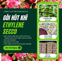 1 Gói Hút Khí Ethylene Secco 5gr Chuyên Bảo Quản Trái Cây - Nông Sản