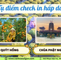 4 Tour Làng hoa Sa Đéc 1 ngày - Tết Dương lịch - SGC Tourist