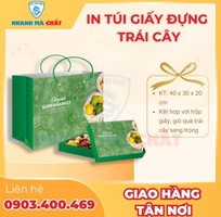 2 In túi đựng trái cây bảo quản chất lượng tốt nhất