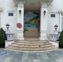 11 Chậu khảm miểng , cẩn miểng chén dĩa , đắp sành sứ thủ công mỹ nghệ Thủ Đức