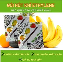 Gói hút khí Ethylene Secco 5g - giải pháp vàng cho trái cây