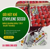 1 Gói hút khí Ethylene Secco 5g - giải pháp vàng cho trái cây