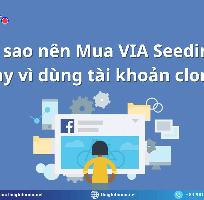 VIA Seeding Có Thật Sự Đáng Tiền Hơn Clone Không