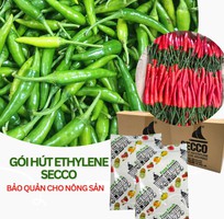Gói Hút Khí Ethylene Secco Bảo Quản Nông Sản - Ớt Tươi Xuất Khẩu