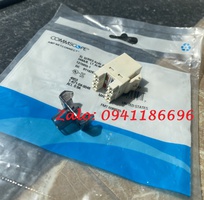 Phân phối Nhân mạng Cat6 UTP Commscope 1375055-1 MODULAR JACK