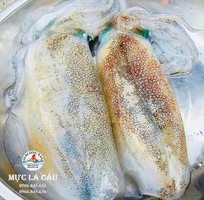 Cách Chọn Mực Lá Tươi Ngon Chuẩn Cho Người Tiêu Dùng