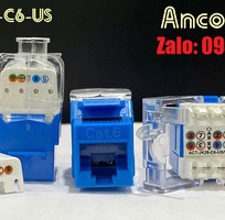2 Phân phối độc quyền thanh đấu nối patch panel 48 cổng Cat6 UTP 2U mã ACT-48S2U chính hãng Ancomteck