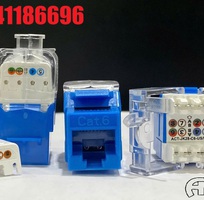 6 Phân phối Ổ cắm RJ45 Cat7 FTP có chống nhiễu tốc độ 100/1000 hãng Ancomteck, mã ACT-S7-002