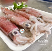 Cung Cấp Mực Ống Giá Tốt