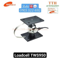 Cảm biến trọng lượng TSW950
