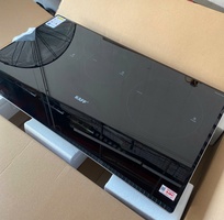 2 Bếp Điện Từ Kaff KF-3001IH