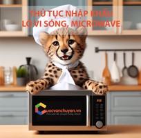 Thủ Tục Nhập Khẩu Lò Vi Sóng