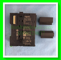 Mô-đun Schneider TM3AM6