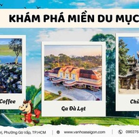  Tết 2026    Đà Lạt 3N3Đ Cực Chill 